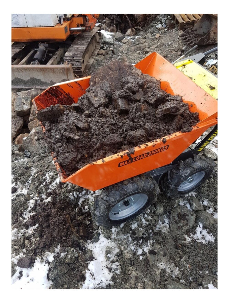 Briggs and stratton mini dumper 4x4 300 kg