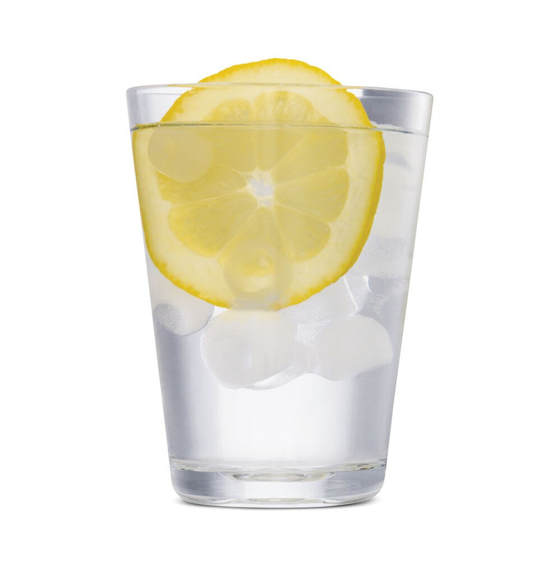 Wilfa frostbitt isbitmaskin ICE-12S Sølv