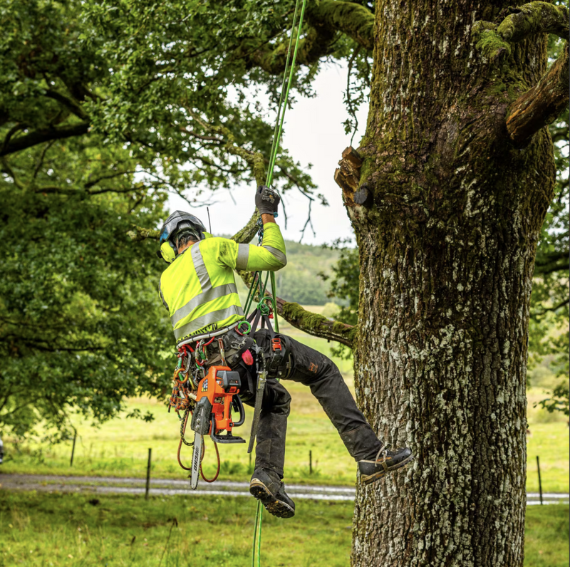 Echo DCS-3000T batteridreven motorsag 30 cm