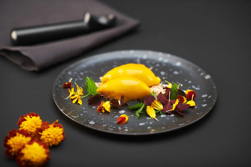 Wilfa Vanilla iskremmaskin ICMS-C15