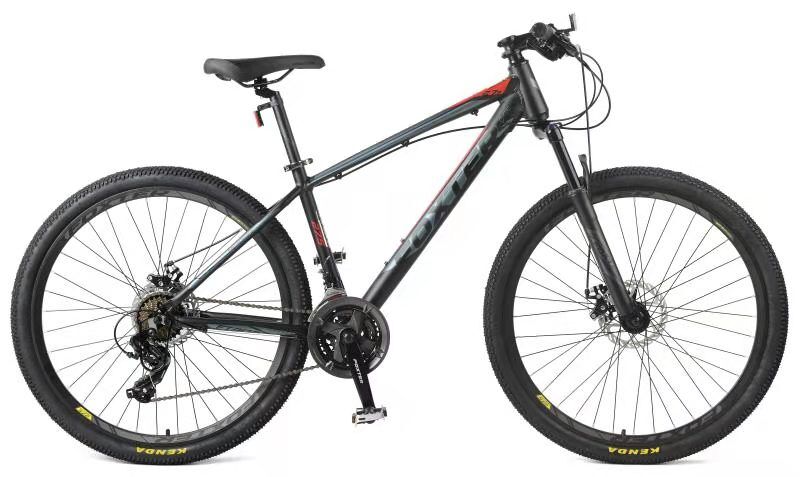 Foxter mtb sykkel 29" 24 gir gray/red