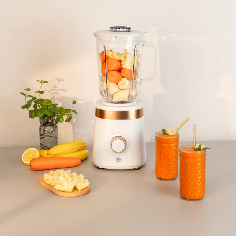 Wilfa Smooth 1000 blender BLW-1000